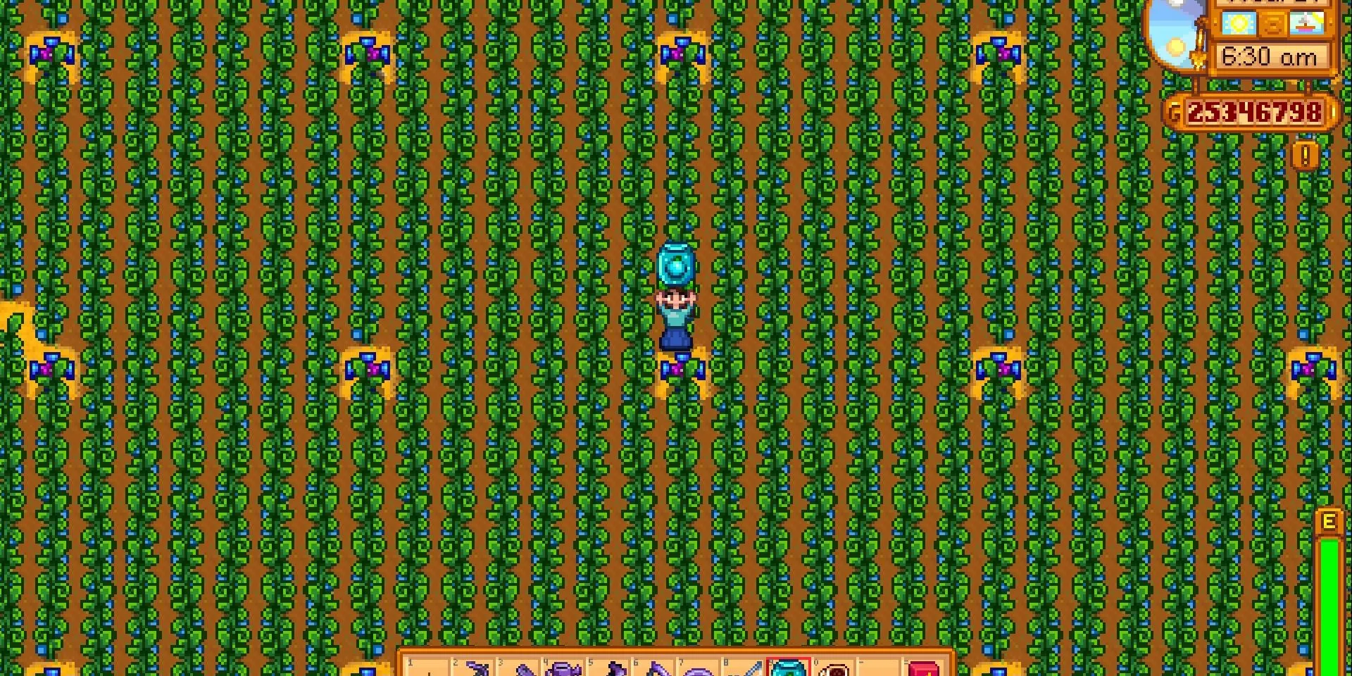Ảnh chụp màn hình một trang trại trồng Cổ Vật trong Stardew Valley