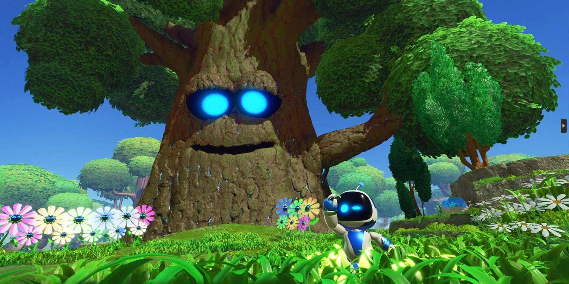 Astro Bot và 'Papa Tree' đứng cạnh nhau trong một khu vườn đầy màu sắc