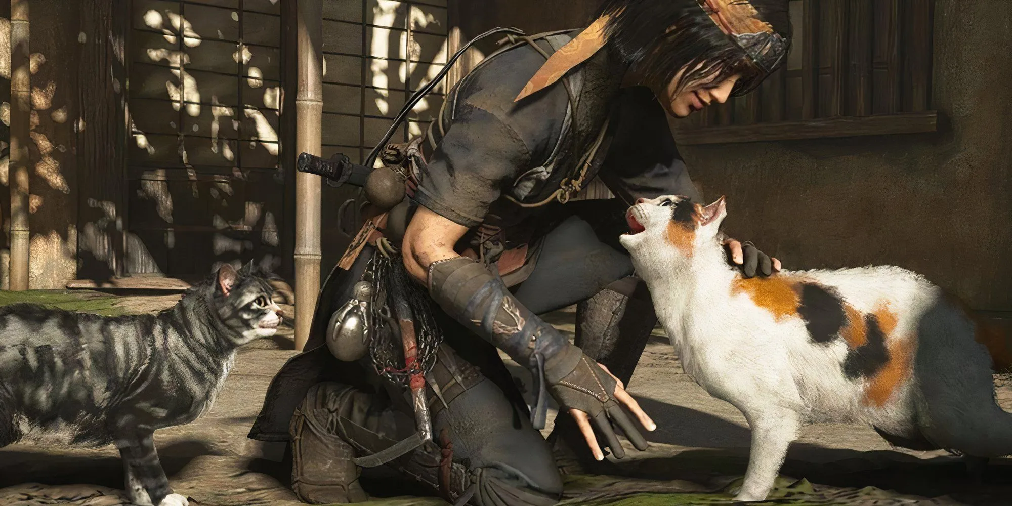 Chú mèo của một nhà phát triển được đưa vào game Assassin's Creed Shadows như một easter egg thú vị