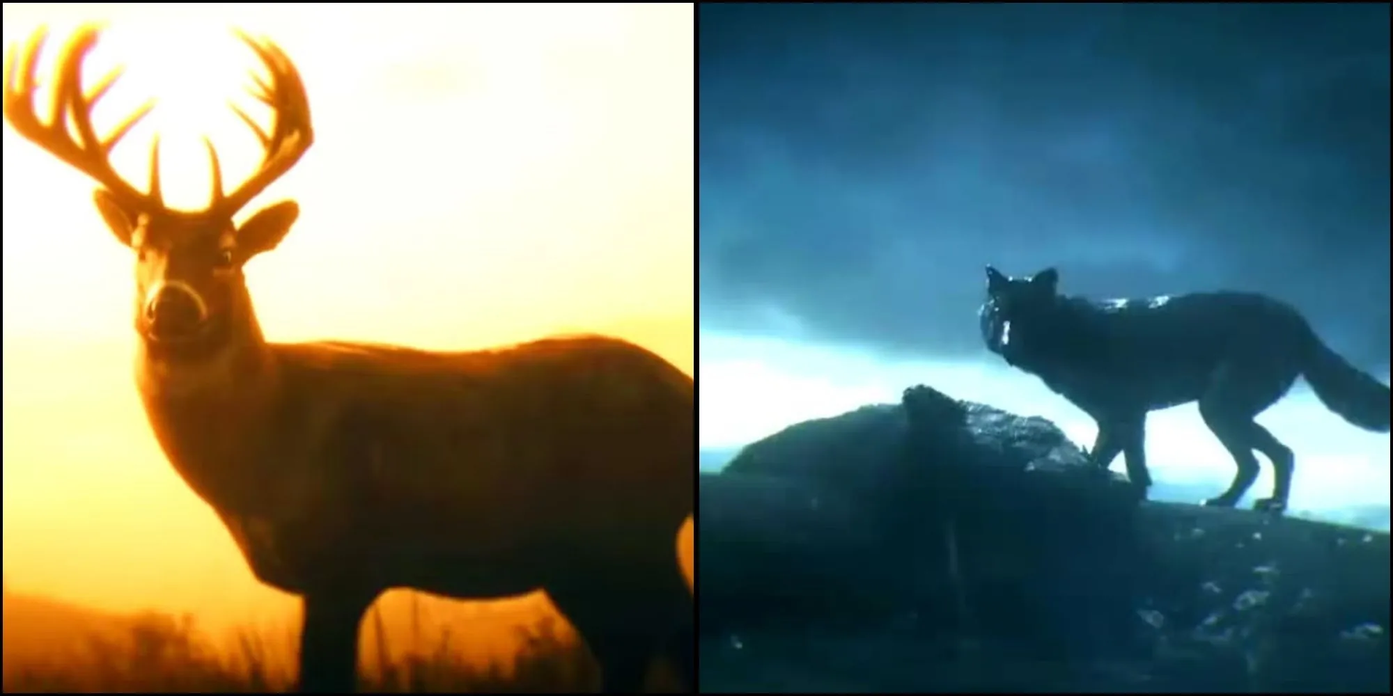 Hệ thống Danh Vọng (Honor) trong Red Dead Redemption 2 ảnh hưởng đến Arthur Morgan và cốt truyện