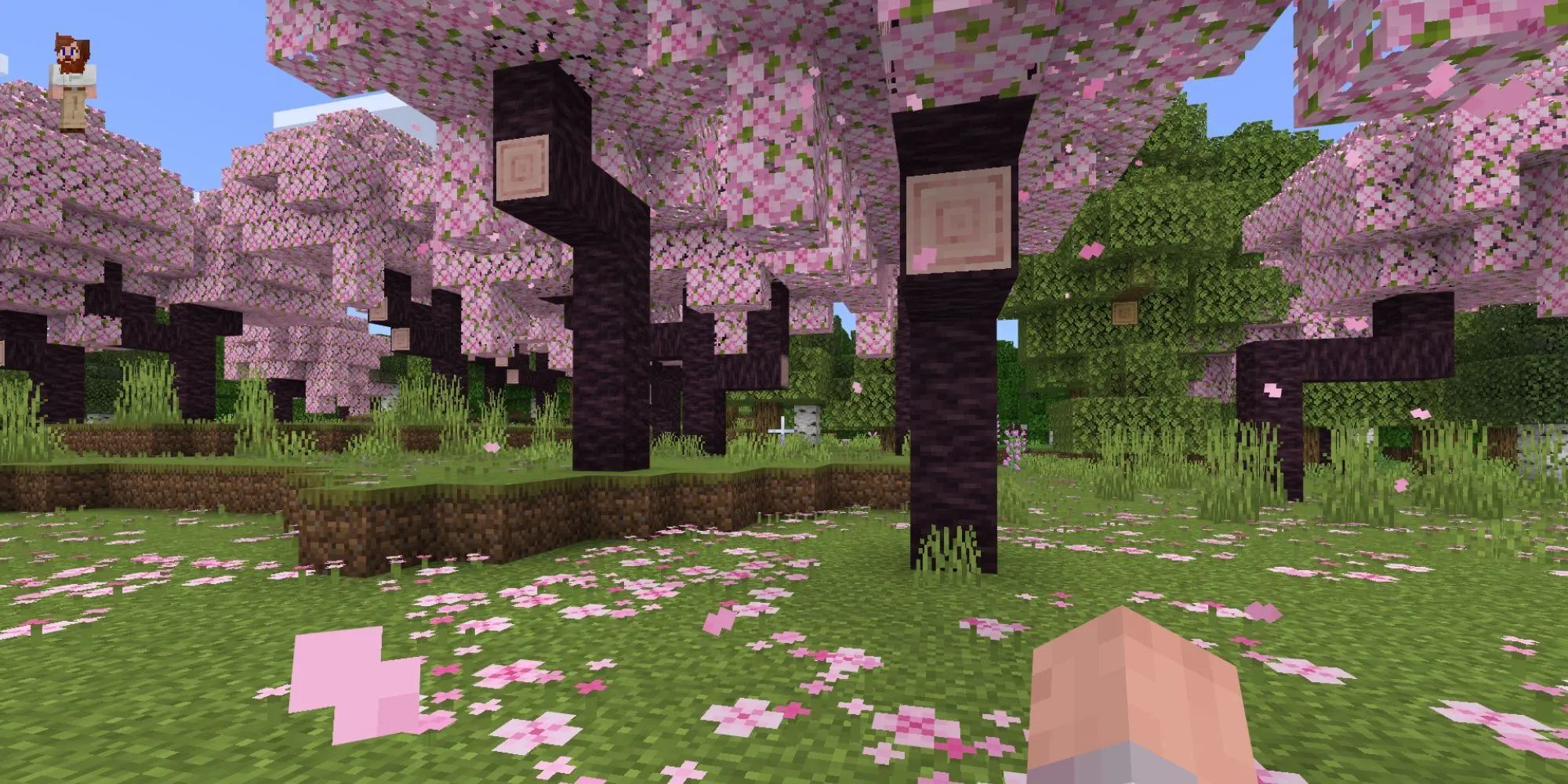 Khu rừng hoa anh đào tuyệt đẹp trong Minecraft