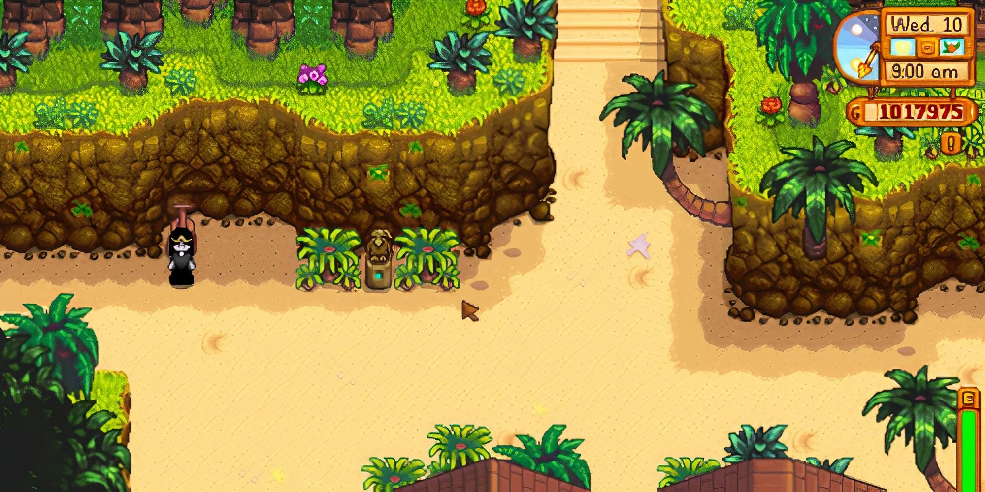 Lối vào phía Tây Đảo Gừng trong Stardew Valley bị chặn bởi một con rùa ngủ lớn