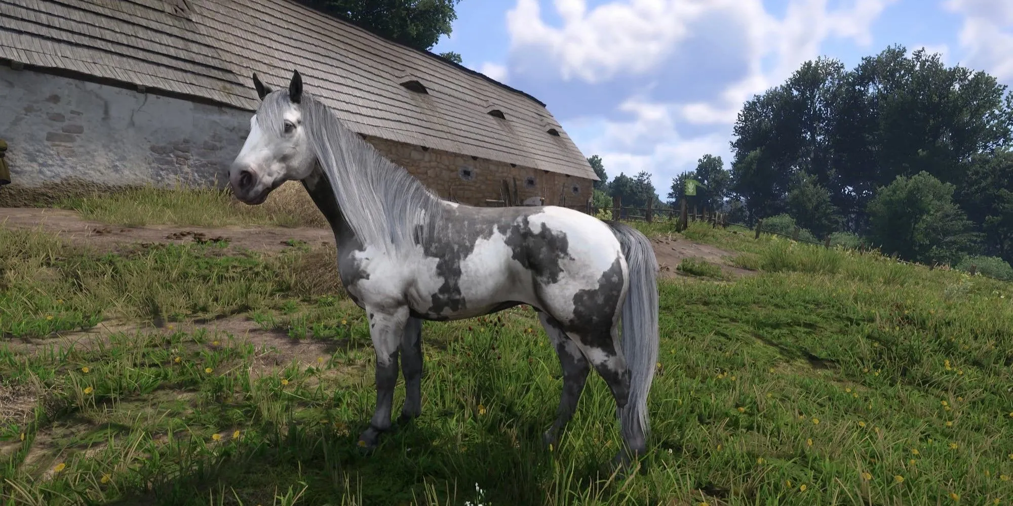 Mod Ngựa Độc Đáo cho Kingdom Come Deliverance 2 của Ellez trên Nexus Mods
