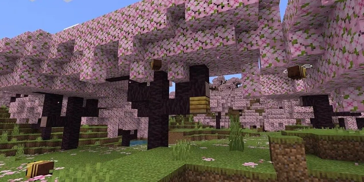 Một khu rừng hoa anh đào từ bản cập nhật Trails and Tales của Minecraft
