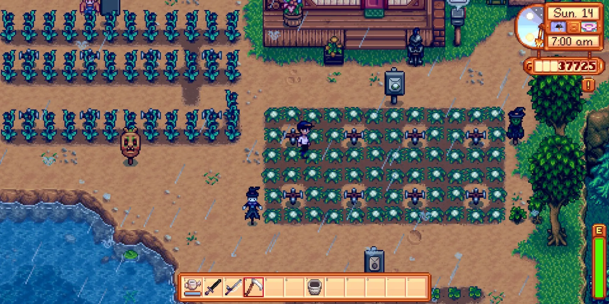 Người chơi đang làm nông trên một cánh đồng dưới mưa trong Stardew Valley