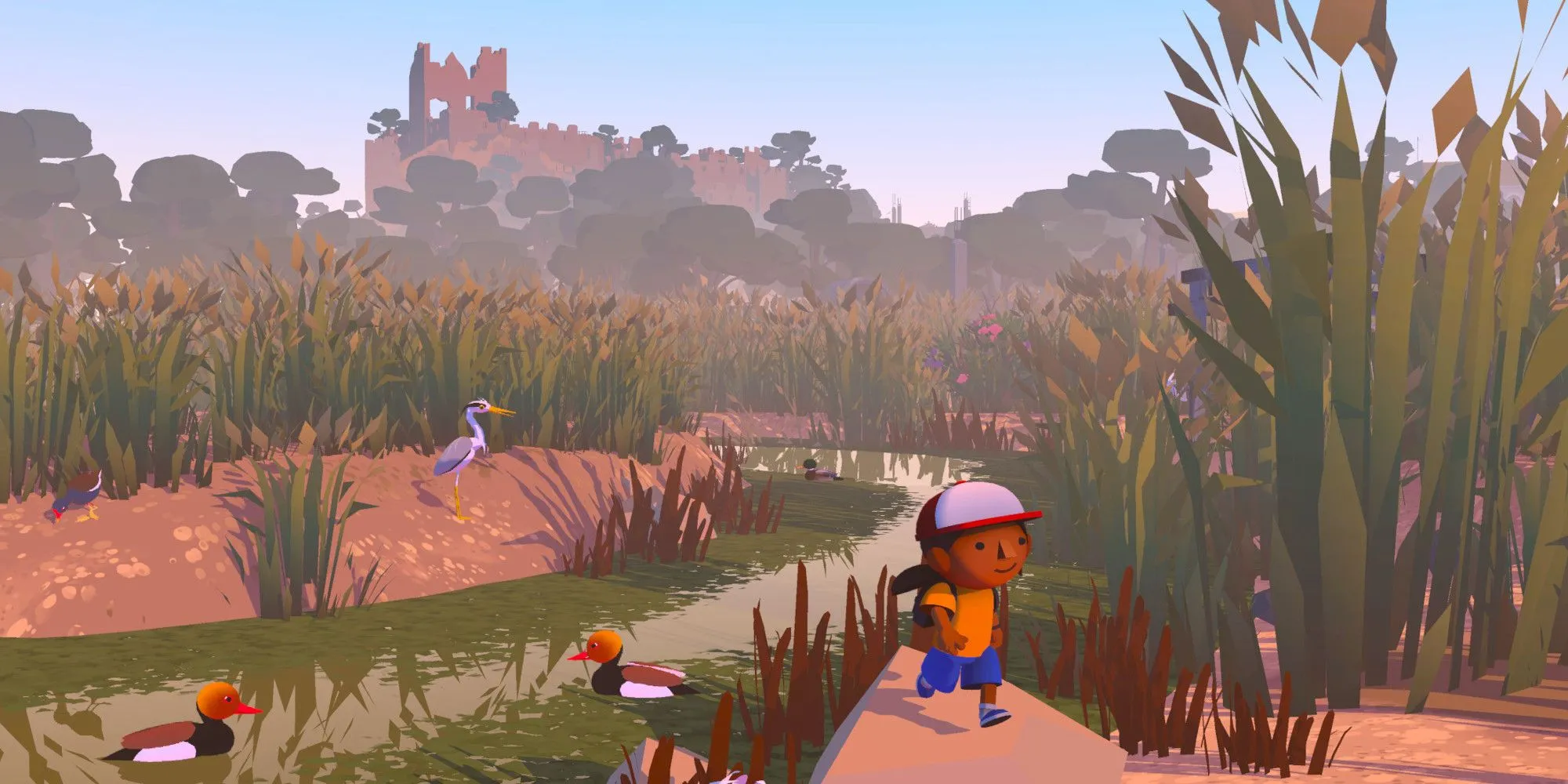 Nhân vật Alba khám phá đầm lầy trong game Alba A Wildlife Adventure, xung quanh có đàn vịt