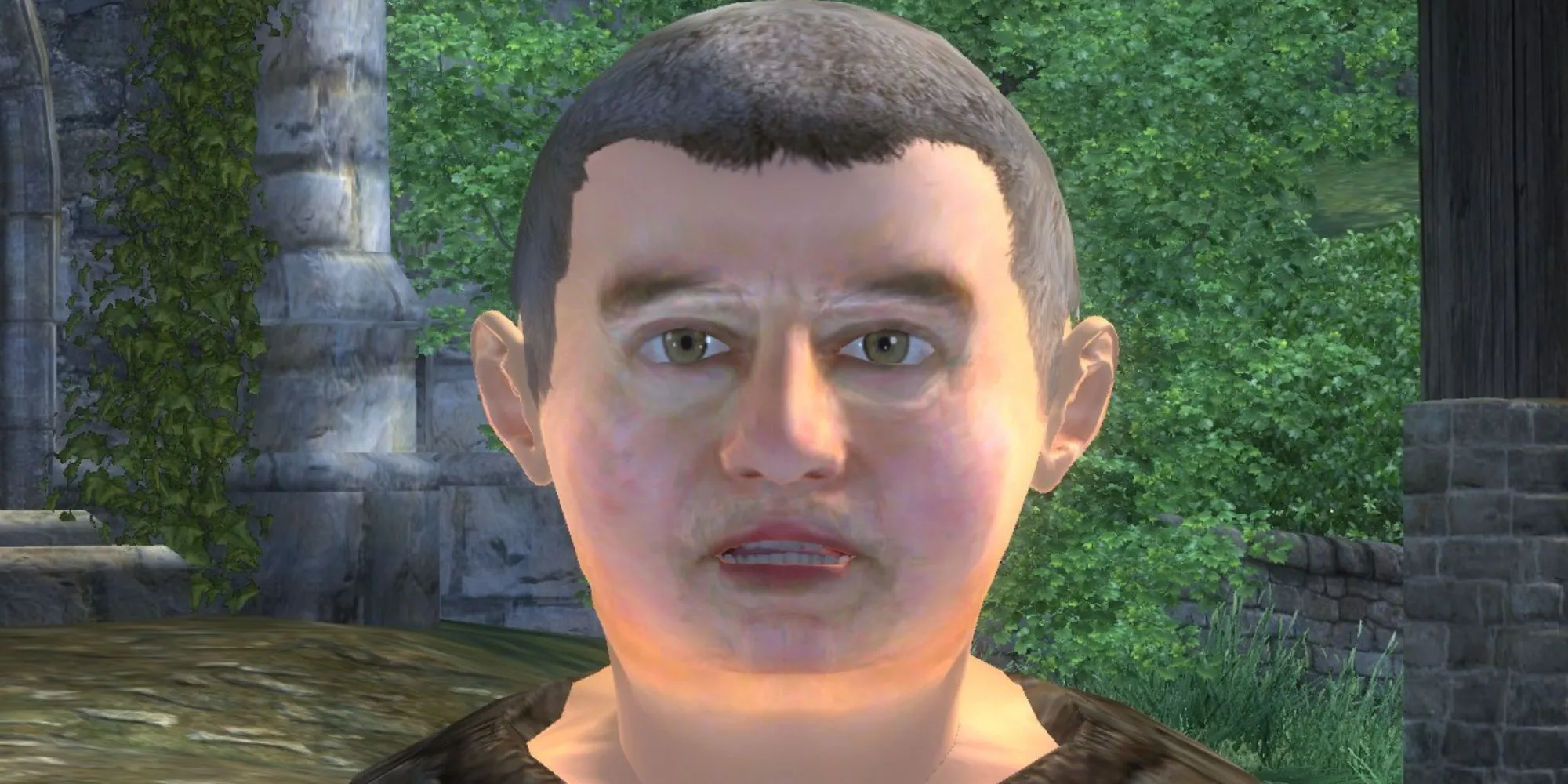 Nhân vật Jiv Niriel trong thế giới rộng lớn của Elder Scrolls 4 Oblivion