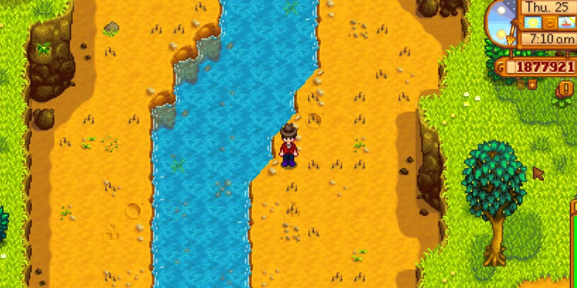 Rất nhiều Điểm Khảo Cổ trong Stardew Valley