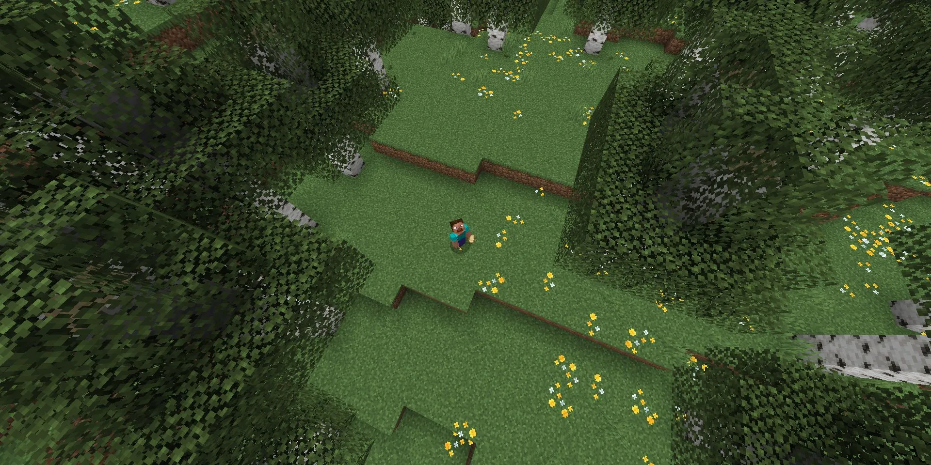 Steve trong Rừng Birch trong Minecraft