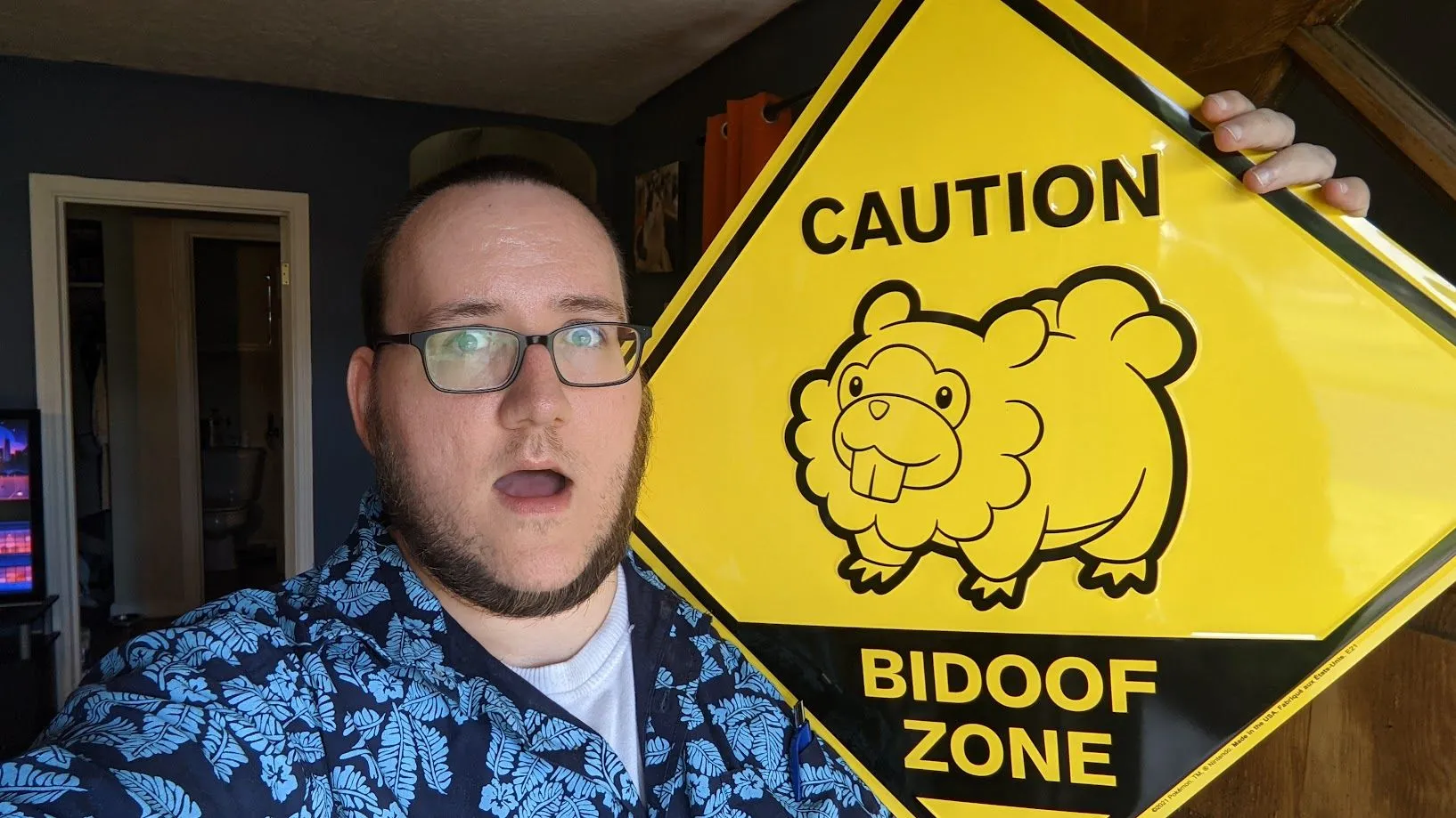 Biển báo &quot;YOU ARE NOW ENTERING THE BIDOOF ZONE&quot; thể hiện tình yêu cuồng nhiệt của fan Pokémon