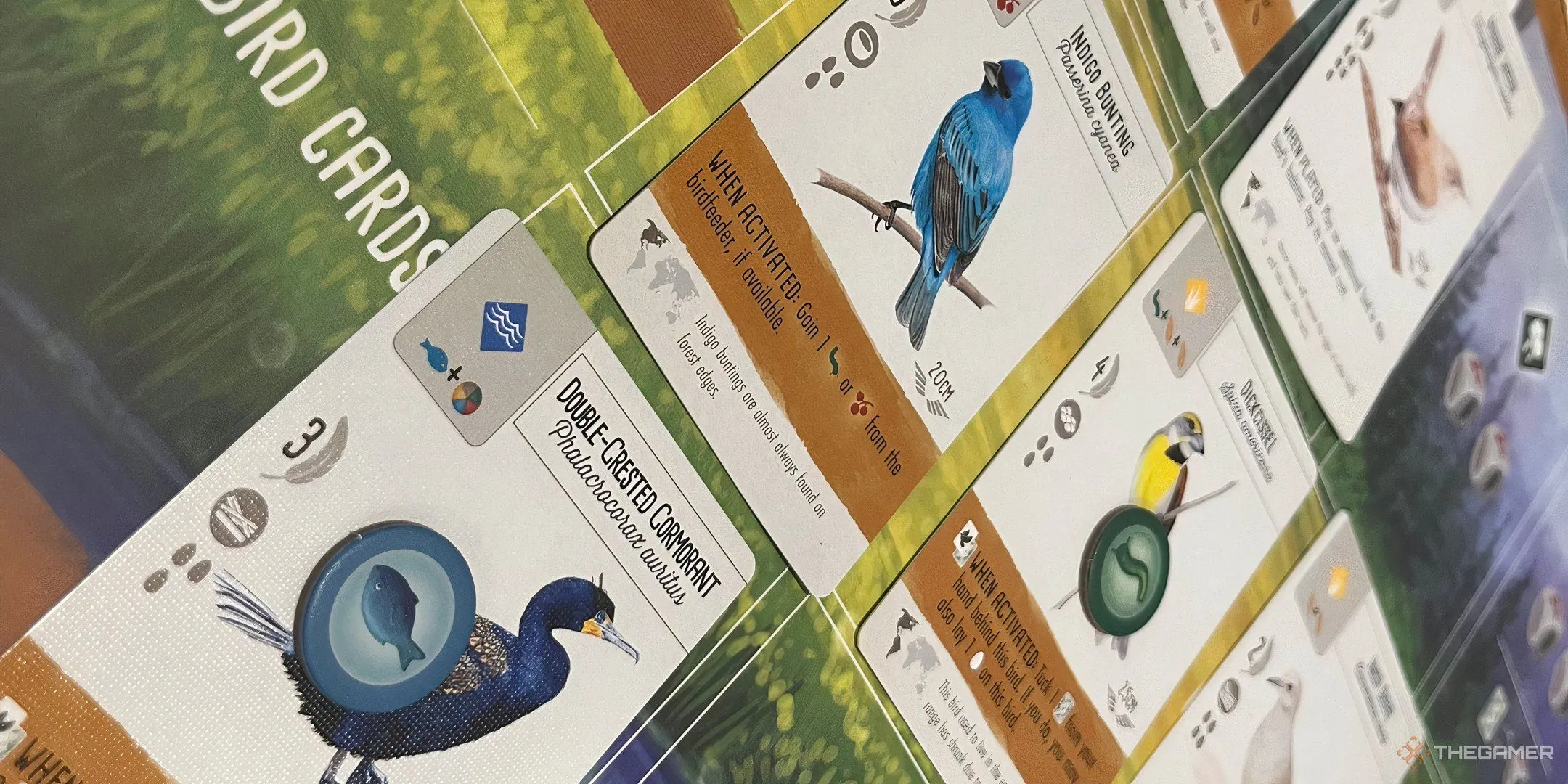 Các token thức ăn được đặt trên thẻ chim trong board game Wingspan, thể hiện chi phí kích hoạt khả năng.
