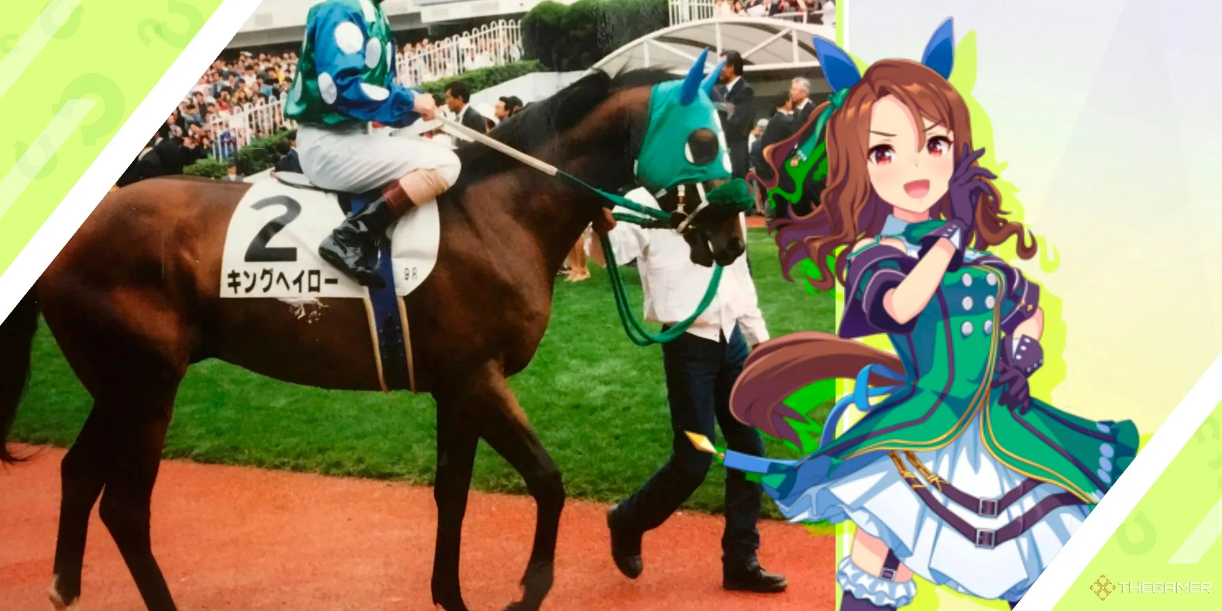 Hình ảnh King Halo từ Umamusume và ngựa đua King Halo ngoài đời thực.