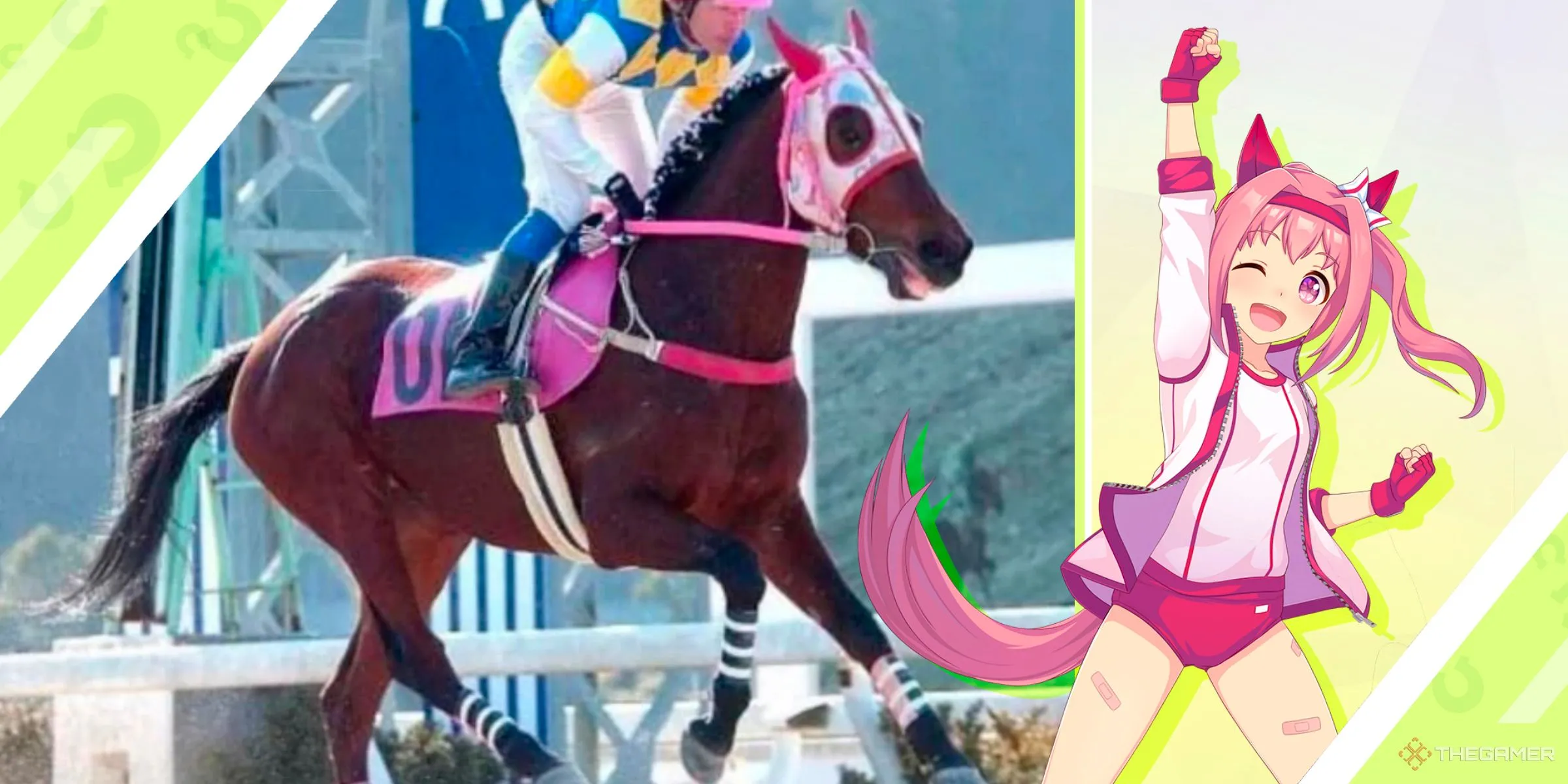 Nhân vật Haru Urara Uma Musume và ngựa đua Haru Urara có biệt danh &quot;ngôi sao của những kẻ thua cuộc.&quot;