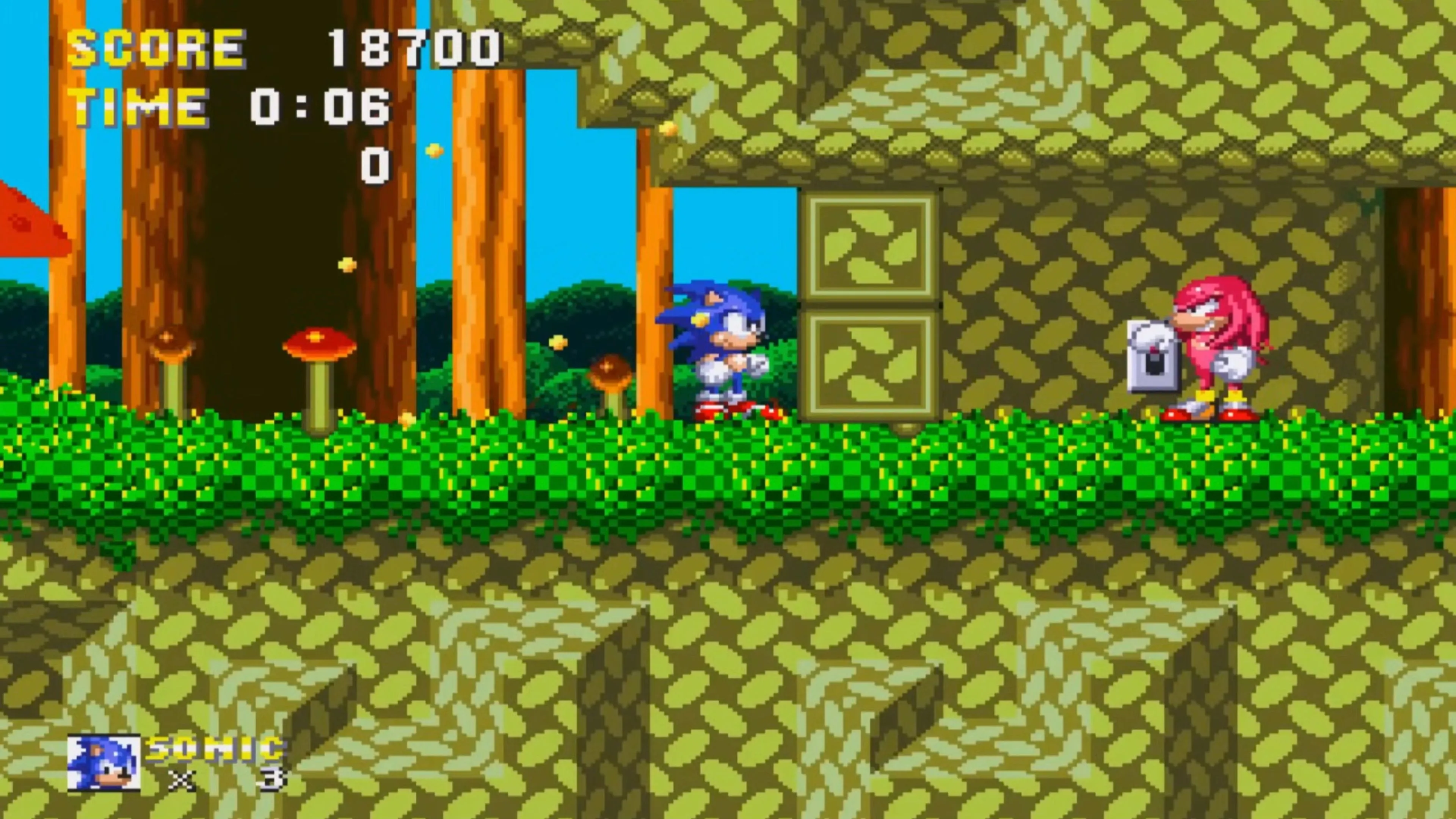 Sonic và Knuckles cùng nhau lao đi trong màn chơi Mushroom Hill Zone của Sonic &amp; Knuckles, thể hiện sự hợp tác năng động