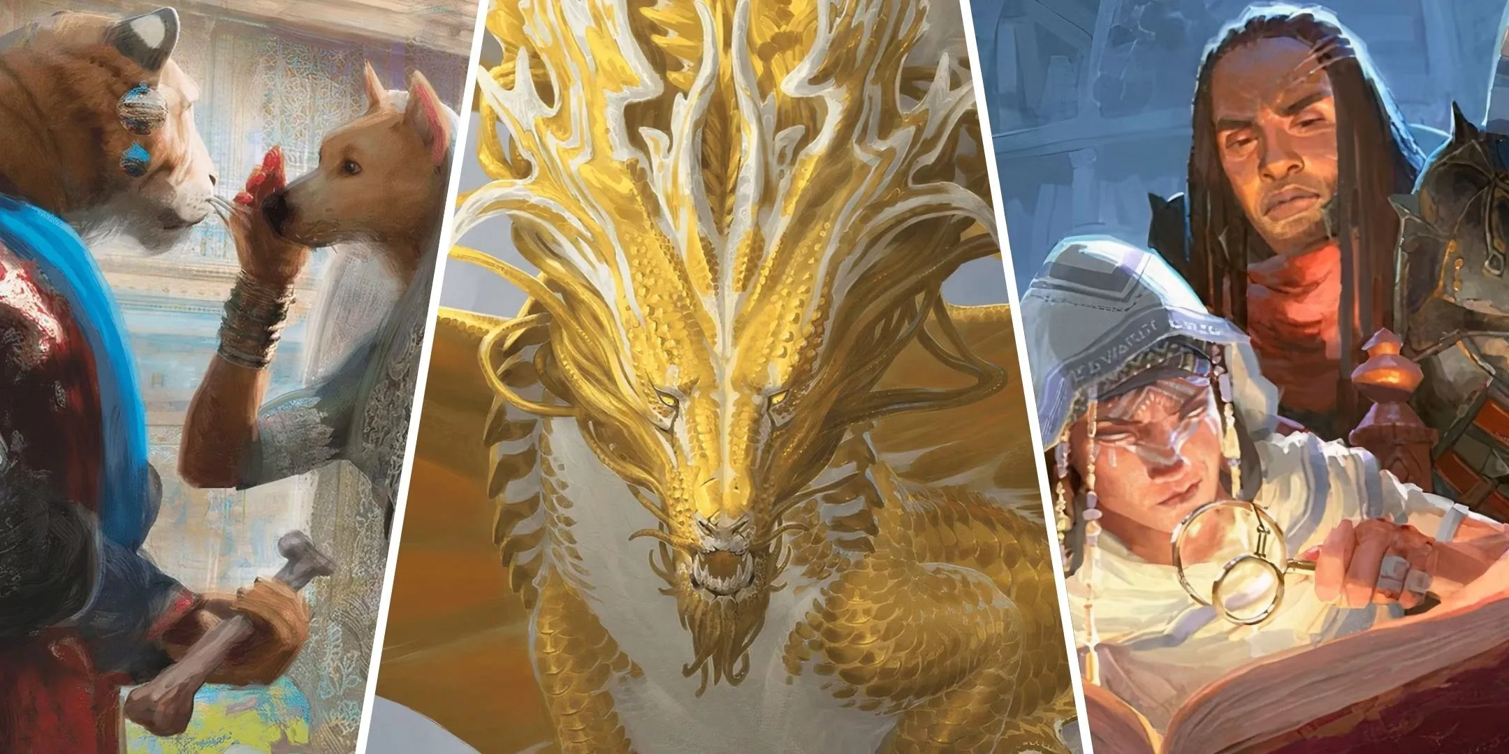 Thế giới Dungeons & Dragons đầy những sinh vật kỳ ảo và học giả cổ xưa.